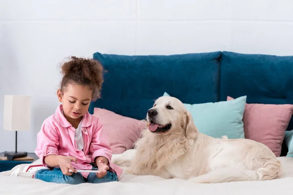 卷曲的非洲裔美国孩子坐在床上与猎犬和寻找在智能手机 — 图库照片