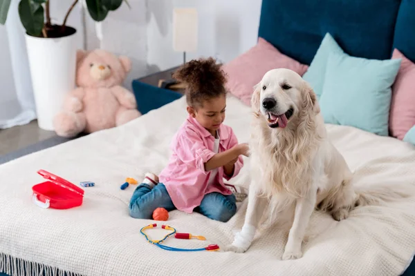 Adorable African American Kid Playing Doctor Her Golden Retriever — Stock Photo, Image