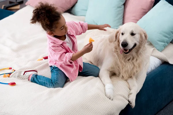 Carino Africano Americano Bambino Giocare Medico Con Suo Cane — Foto stock gratuita