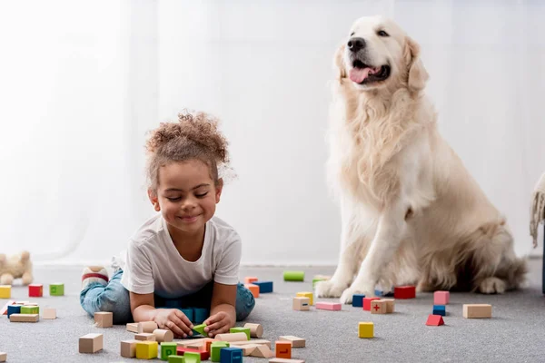 Adorable African American Child Playing Toy Cubes Dog — Stock Photo, Image