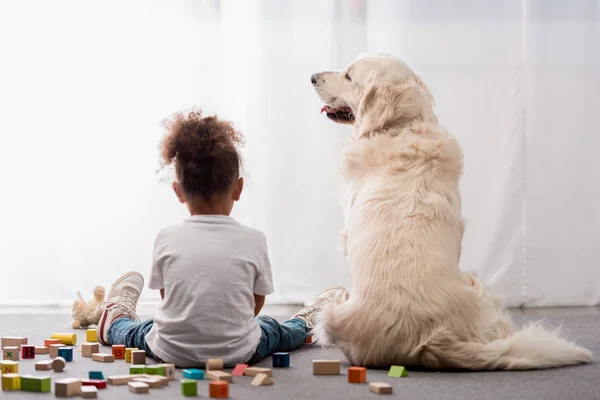 后面的孩子在白色 T恤与快乐的狗围拢玩具立方体 — 图库照片
