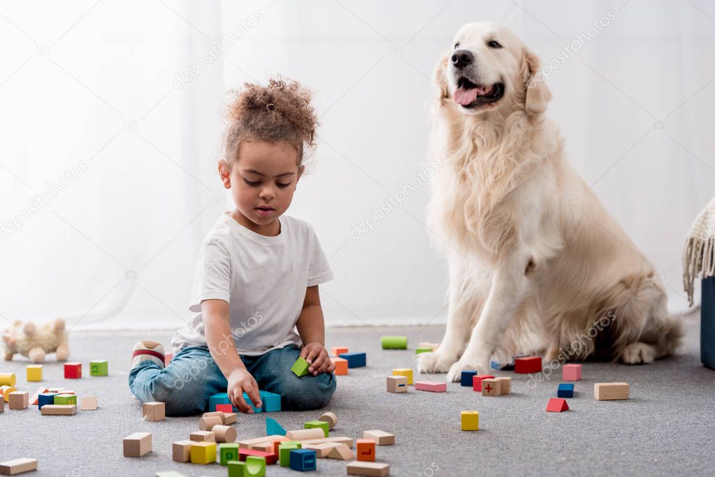 Cute african american child playing with colourful toy cubes and happy dog 