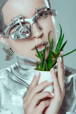 Gümüş robot saksılı bitki izole gri, geleceğin teknoloji kavramı ile yüz dokunmadan