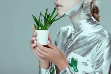 Gümüş robot saksılı bitki izole gri, geleceğin teknoloji kavramı üzerinde tutarak kırpılmış görüntü