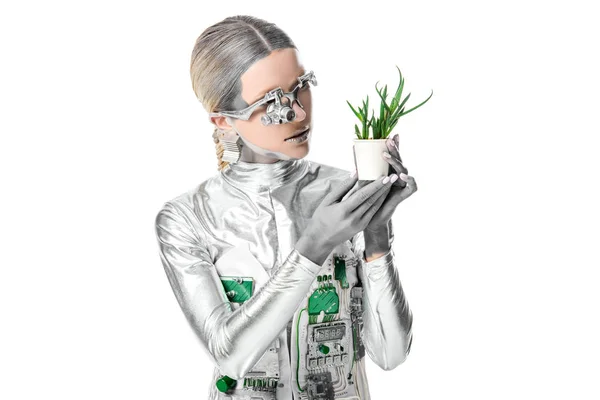 Sølvrobot Som Ser Potteplanter Isolert Hvitt Fremtidig Teknologibegrep – royaltyfritt gratis stockfoto