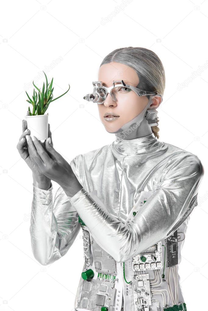 silver robot holding potted plant and looking at camera isolated on white, future technology concept