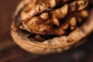 ceviz fındık kabuğu alzheimer sembolü olarak üstten görünüm