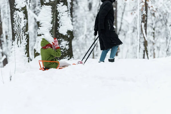 女儿与母亲骑在雪橇在雪林 — 图库照片