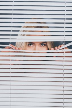 young woman looking at camera and peeking through blinds, mistrust concept  clipart