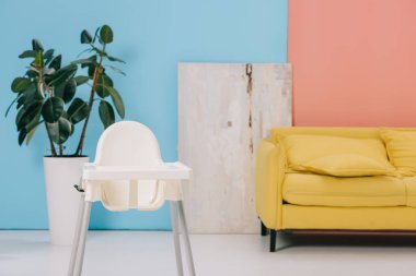 Sarı kanepe, mama sandalyesi ve çiçek tencerede büyük ficus Oda