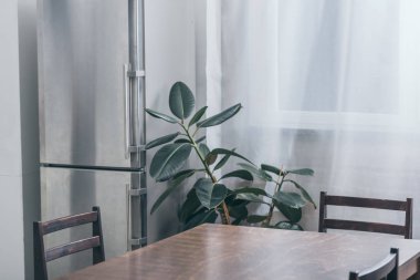 ahşap masa, gri buzdolabı ve mutfak yeşil bitki