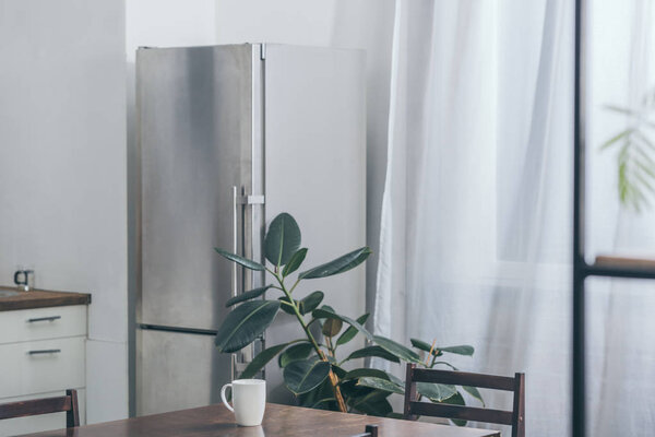 wooden table with white cup, fridge and green plant in kitchen 