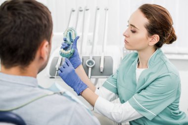seçici odak bir güzel dişçi diş modeli ve hasta yakınındaki diş fırçası tutan