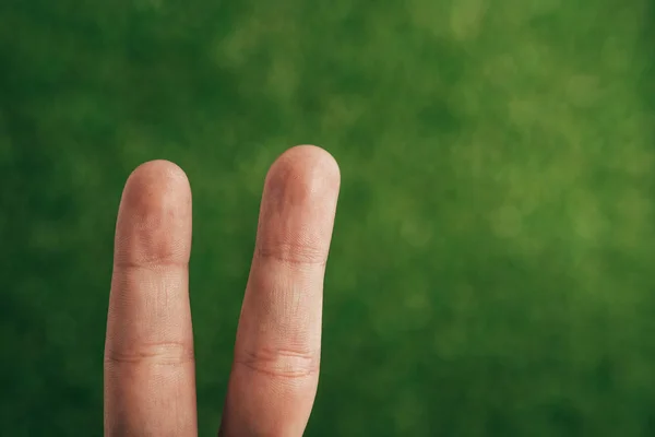 Обрезанный Вид Двух Пальцев Зеленый — стоковое фото