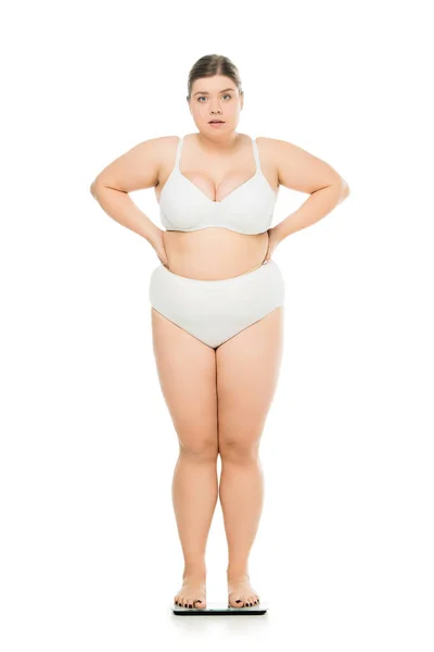 白地では スケールの上に立っての肥満女性が分離された動揺若い失う重量制 — ストック写真