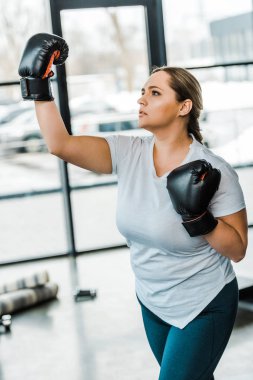  serious plus size woman wearing boxing gloves practicing kickboxing in gym clipart