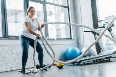 savaş ile eğitim odaklı kilolu kadın spor salonunda ipleri