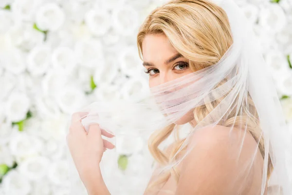 Красивая Молодая Невеста Прячет Лицо Вуалью Невесты Глядя Камеру Белом — стоковое фото
