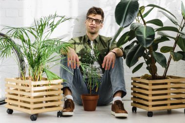 man in green shirt and glasses sitting near pots with plants and brick wall in office clipart