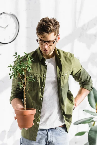 Homme Sérieux Chemise Lunettes Tenant Pot Avec Plante Près Mur — Photo
