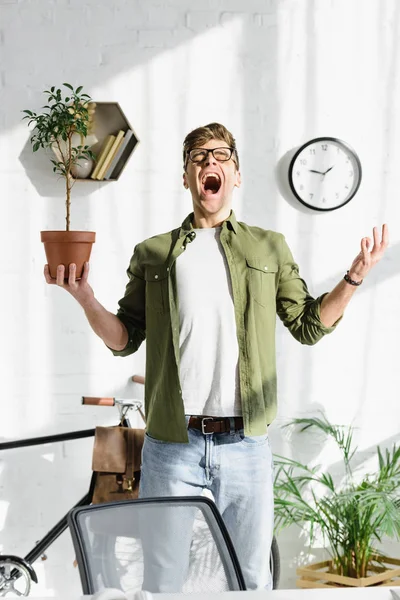 Schlauer Gutaussehender Mann Grünem Hemd Und Jeans Mit Pflanze Büro — Stockfoto