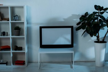 Dolap, yeşil bitkiler ve düz ekran tv ile oda boş perde