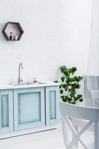 Interieur Van Lichte Moderne Wit Turquoise Keuken Met Groene Plant — Stockfoto