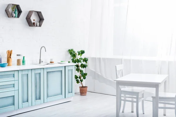 Interior Luz Espaciosa Cocina Blanca Turquesa Con Planta Verde — Foto de Stock