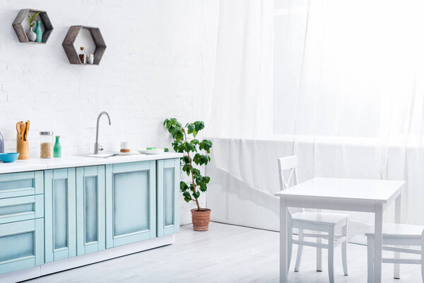 interior of light spacious white and turquoise kitchen with green plant
