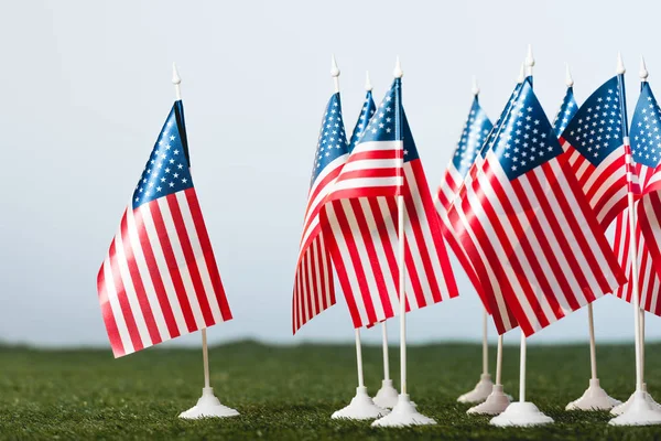 American Flags Green Grass Isolated Grey — Stock Photo, Image