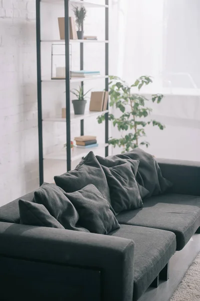 Sofa Hitam Dekat Tanaman Dan Rak Ruang Tamu Modern — Stok Foto