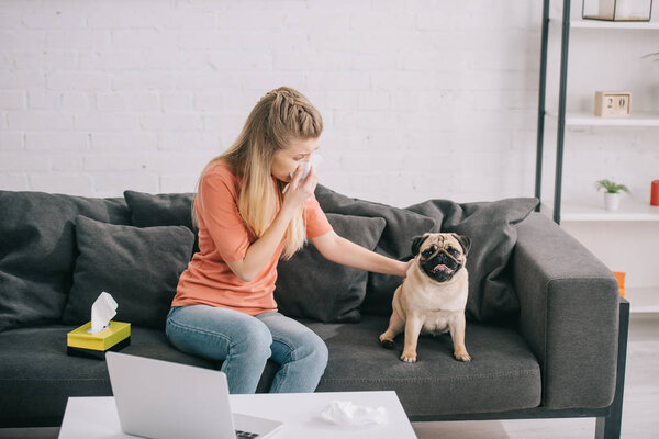 блондинка чихает в ткани, сидя рядом с собакой-мопсом на диване
 