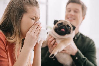 seçici odak hapşırma kadının boksör ile neşeli adam köpeğe alerjisi 