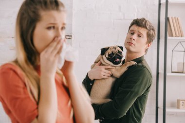 yakışıklı adam kadın yakınındaki silah şirin pug köpek dokusunda hapşırma için Alerjik holding seçici odak 
