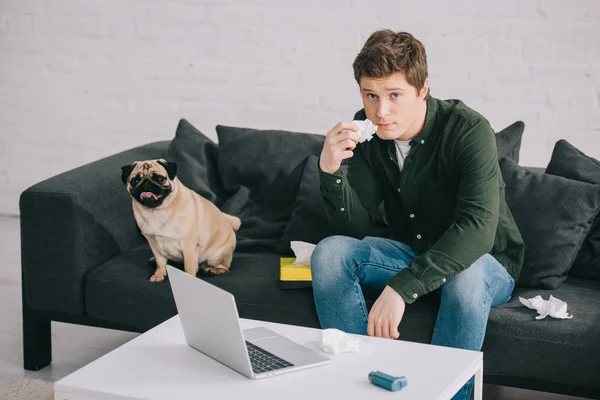 Handsome Man Allergic Dog Holding Tissue Sitting Sofa Pug — Stock Photo, Image