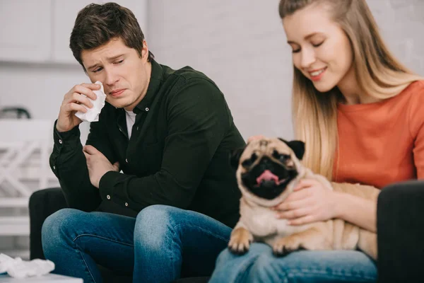 Focalizarea Selectivă Bărbaților Frumoși Alergici Țesutul Câinelui Uitându Femeia Pug — Fotografie, imagine de stoc