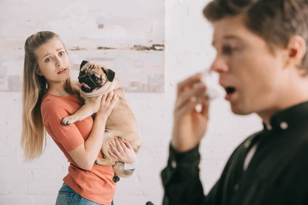 Selective Focus Attractive Worried Girl Holding Cute Pug Looking Sneezing — Stock Photo, Image