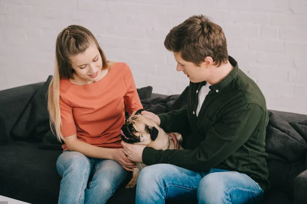 Mulher Loira Alegre Homem Feliz Tocando Cão Pug Bonito Sofá — Fotografia de Stock