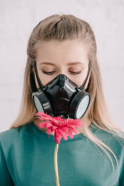 blonde woman with pollen allergy wearing respiratory mask and looking at pink gerbera flower  clipart