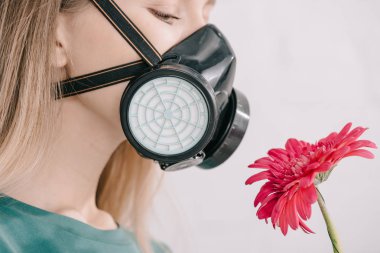 blonde girl with pollen allergy wearing respiratory mask and looking at pink gerbera flower 