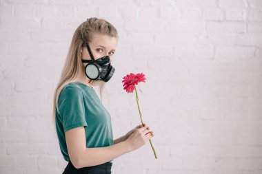 polen alerjisi solunum maskesi ve holding pembe gerbera çiçek yakınındaki duvara giymiş sarışın kız