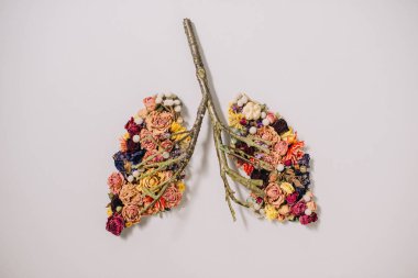 top view of floral composition with dried flowers and twigs in shape of lungs on grey  clipart