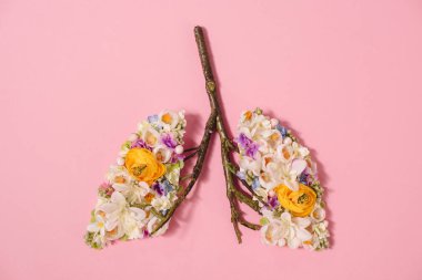top view of floral composition with blooming flowers and twigs in shape of lungs on pink  clipart