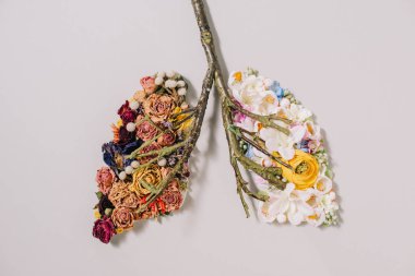 top view of of floral composition with dried and blooming flowers near twigs in shape of lungs on grey  clipart