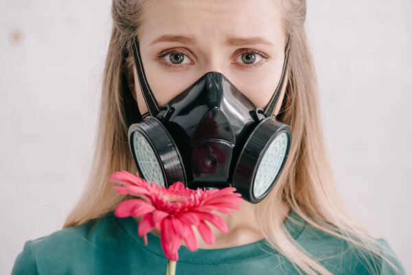 blonde woman with pollen allergy wearing respiratory mask and looking at camera near pink gerbera flower 