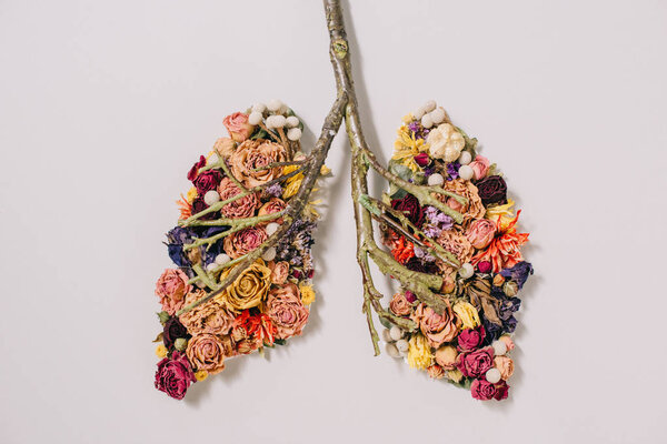 top view of floral composition with flowers and twigs in shape of lungs on grey 