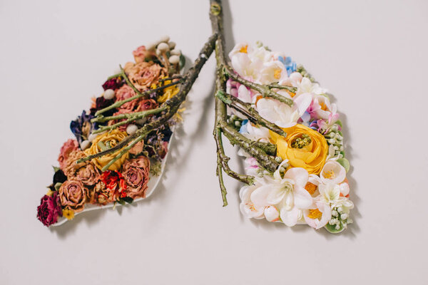 floral composition with dried and blooming flowers near twigs in shape of lungs on grey 