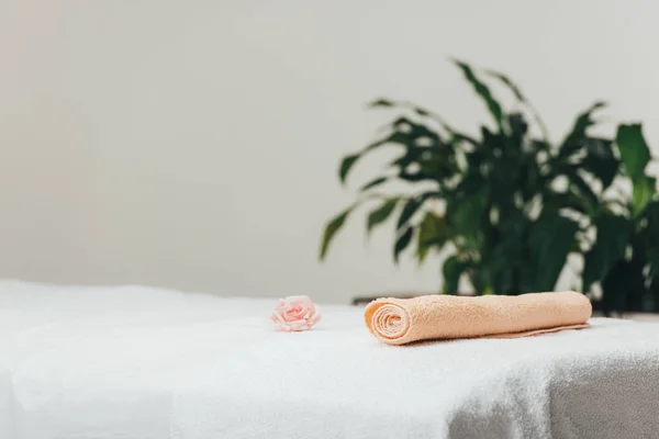 Selective Focus Massage Table Rose Beige Towel Spa — Stock Photo, Image