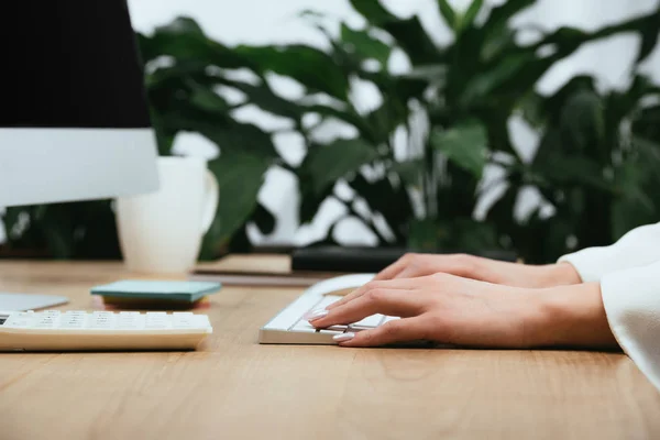 Visão Cortada Mulher Adulta Digitando Teclado Computador — Fotografia de Stock