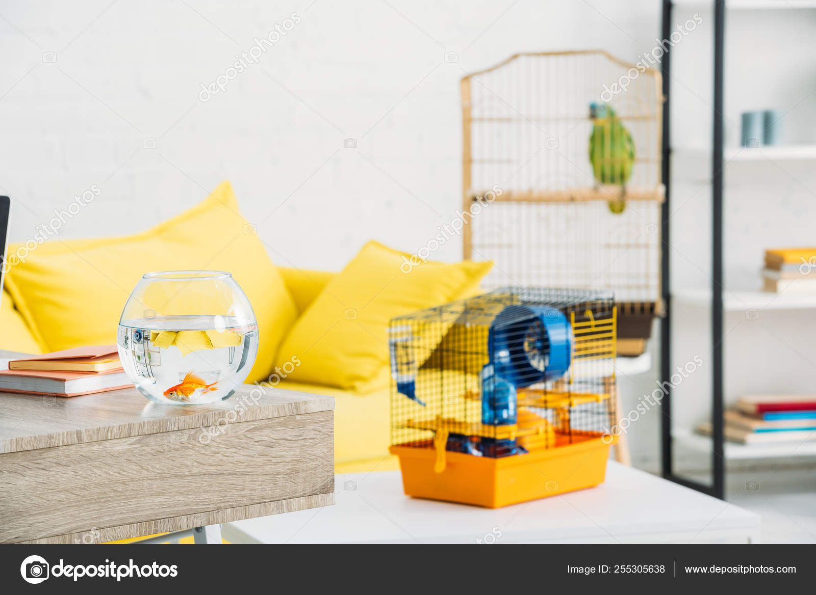 Pet Cage Aquarium Gold Fish Light Spacious Living Room Stock Photo by